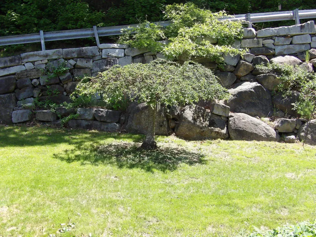 13 Pear Street Laconia NH 03246