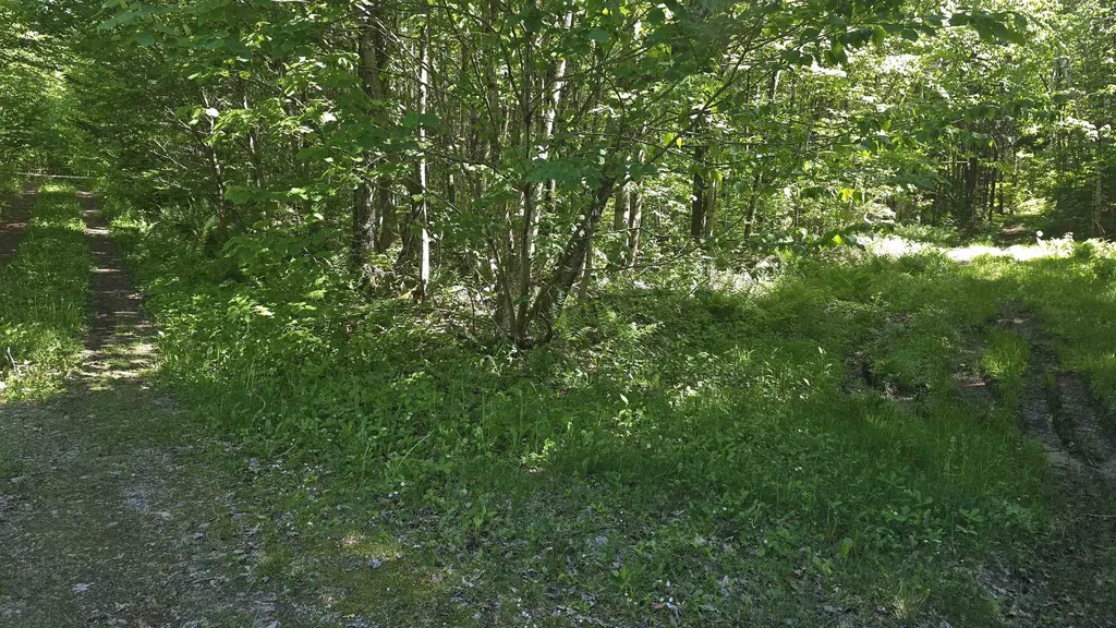 1029 Stark Highway Stark NH 03582