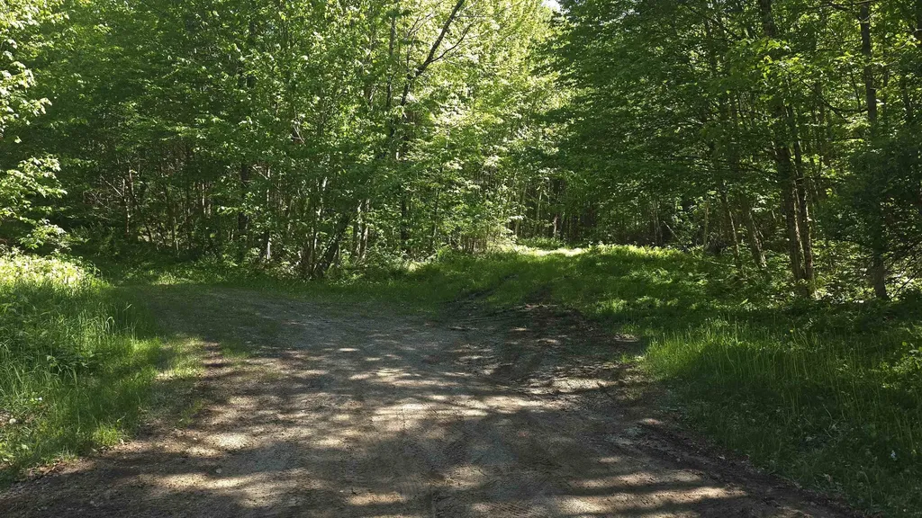 1029 Stark Highway Stark NH 03582