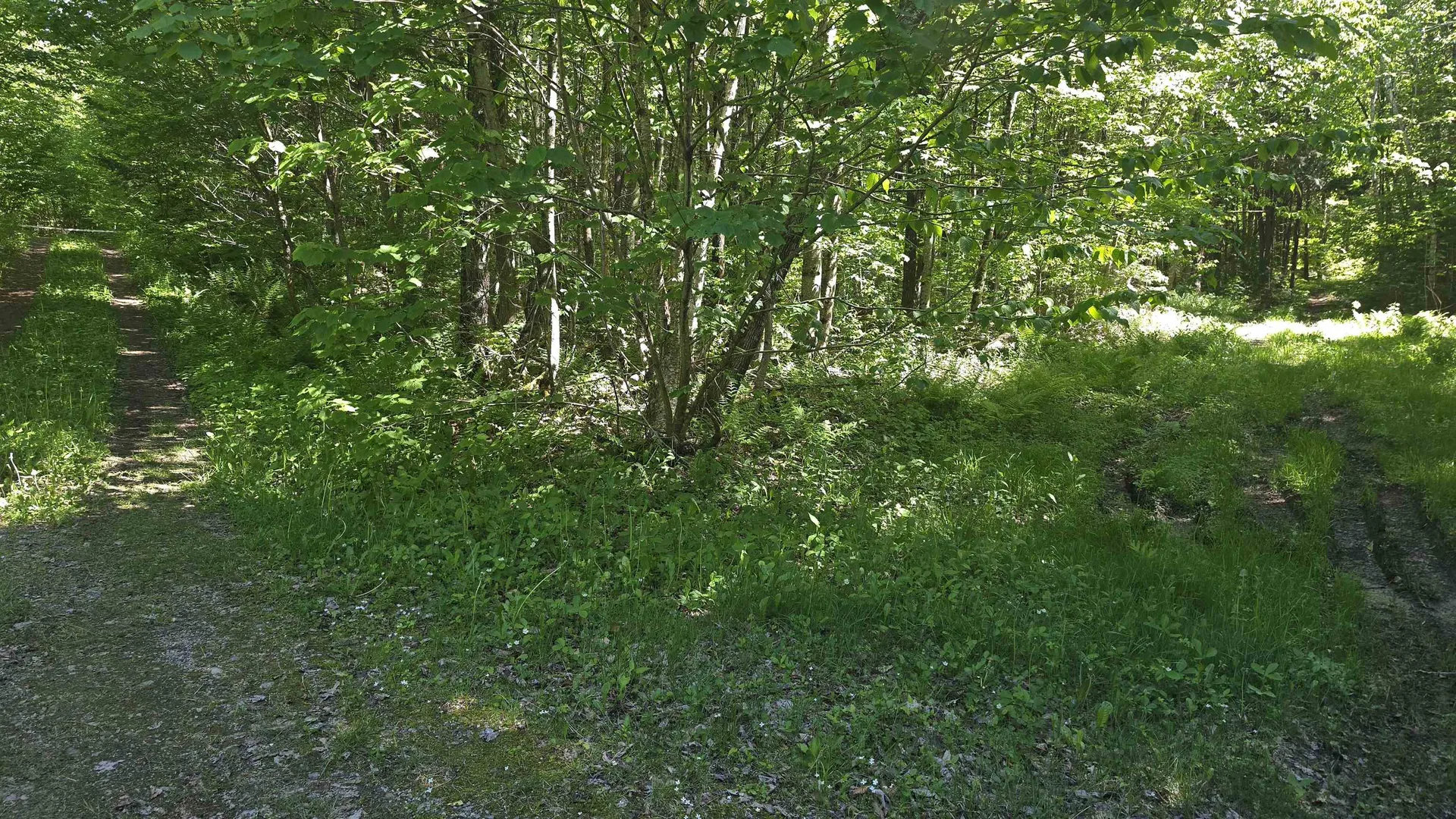 1029 Stark Highway Stark NH 03582