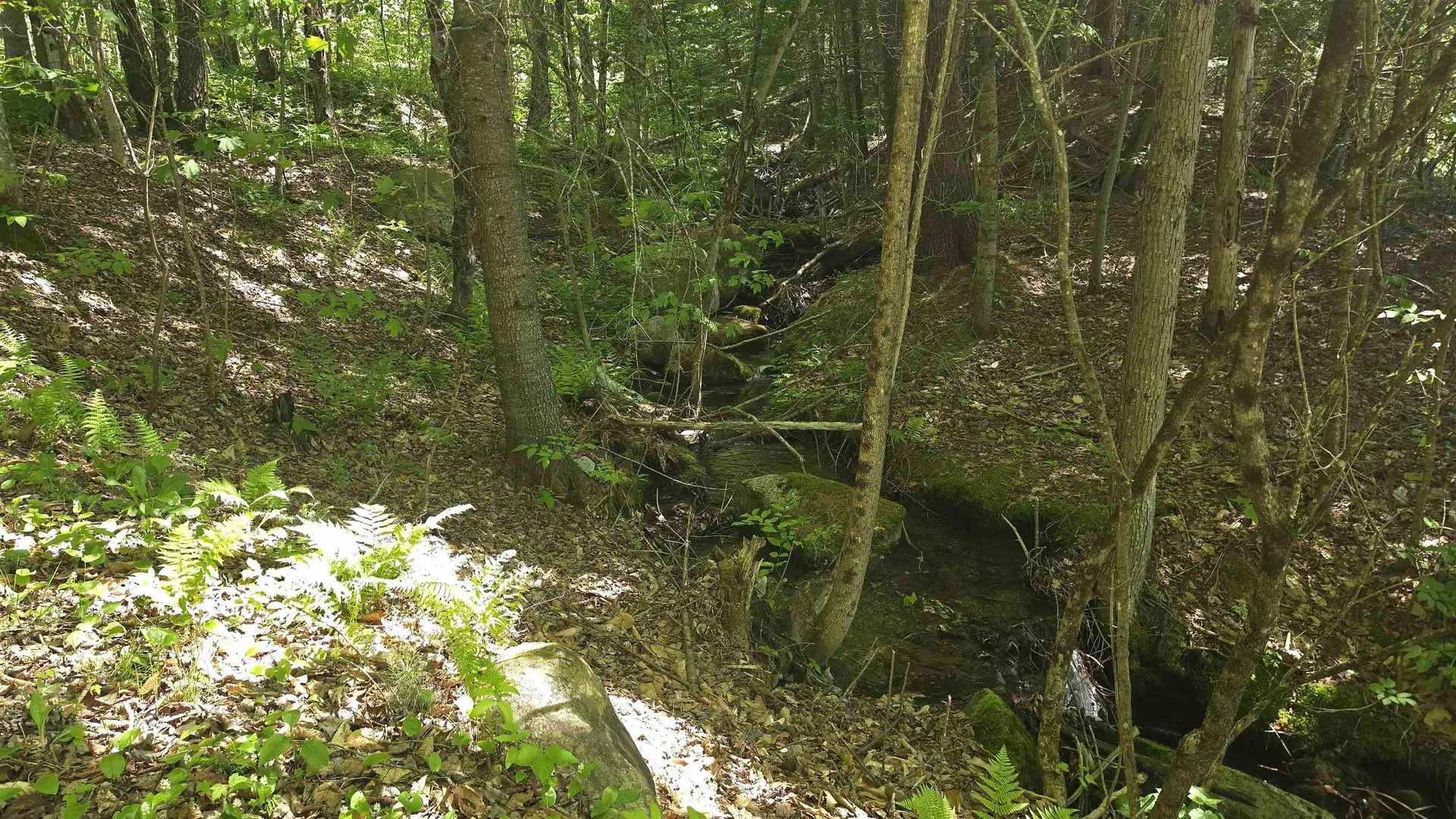 1029 Stark Highway Stark NH 03582