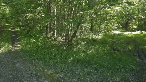 1029 Stark Highway Stark NH 03582