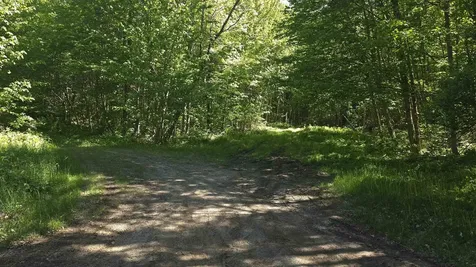 1029 Stark Highway Stark NH 03582