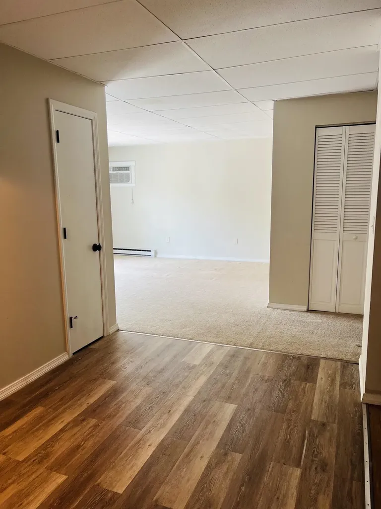 45C Constitution Drive Londonderry NH 03053