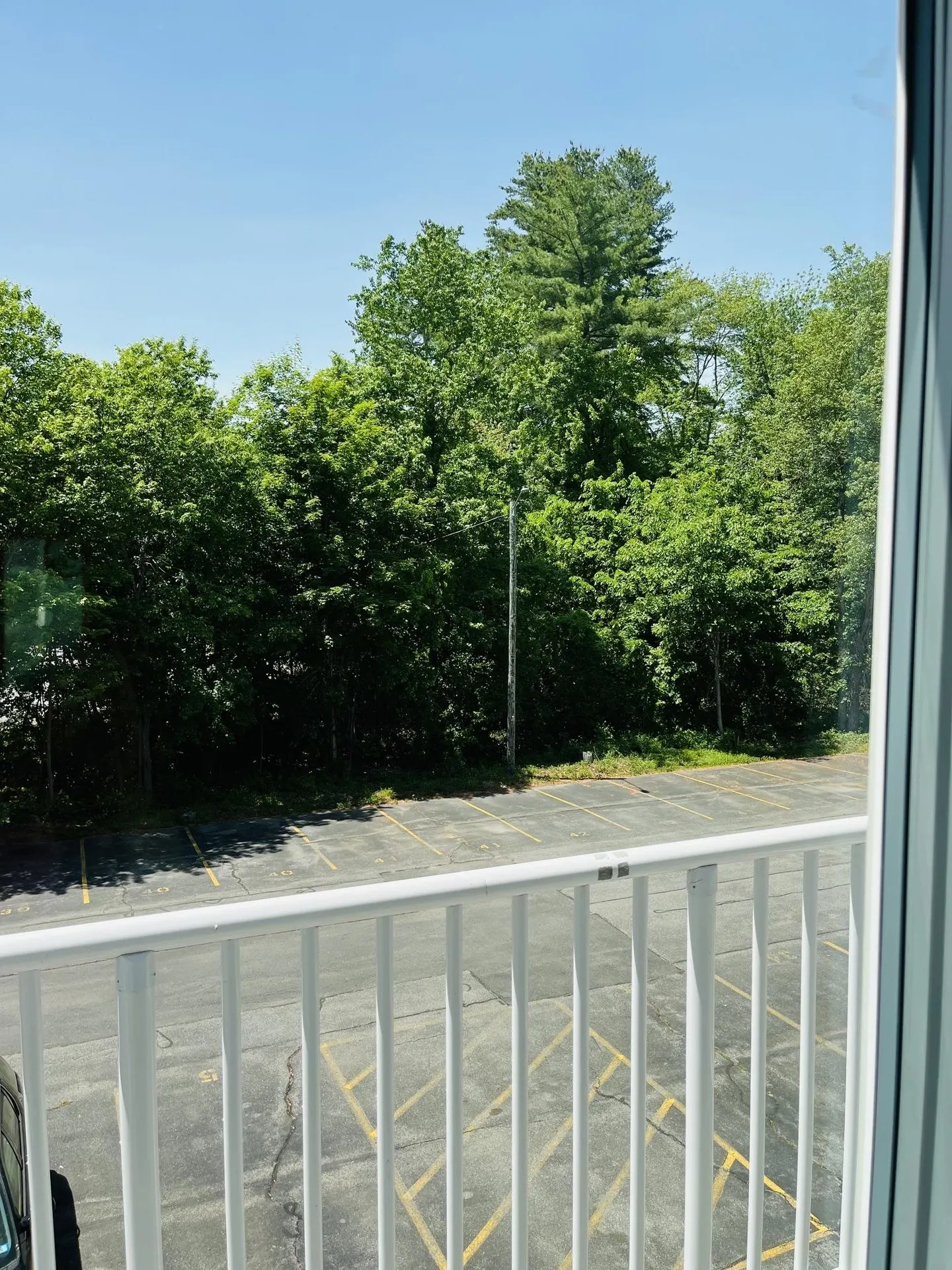 45C Constitution Drive Londonderry NH 03053