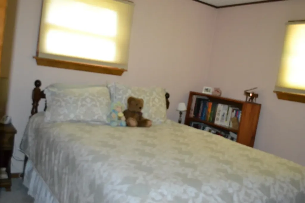 25 Woodland Drive Jay VT 05859