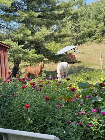 736 Pleasant Street Newport City VT 05855