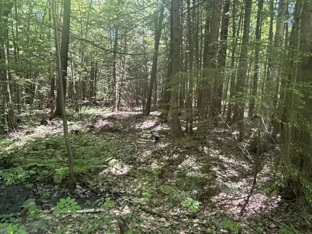 21 Albin Road Bow NH 03304