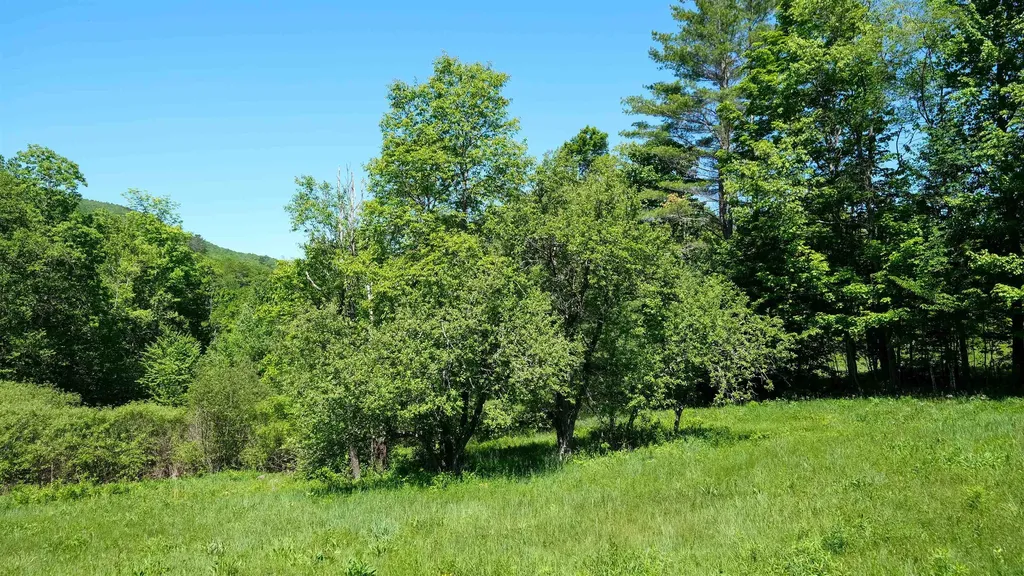 0 Rod & Gun Club Road Ludlow VT 05149