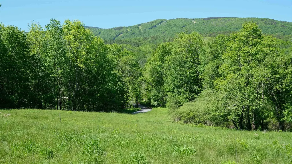Lot 8 Rod & Gun Club Road Ludlow VT 05149