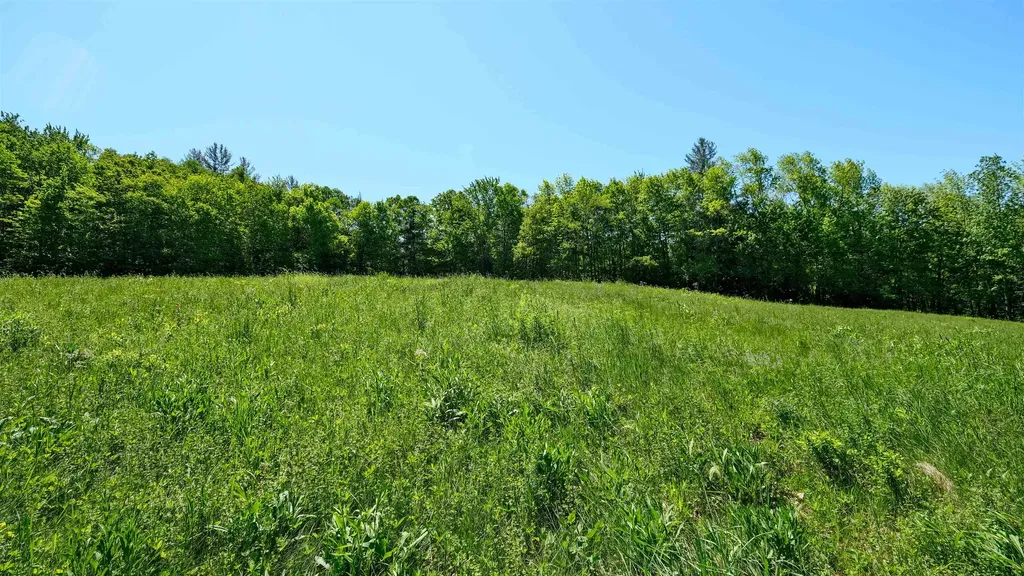 Lot 8 Rod & Gun Club Road Ludlow VT 05149