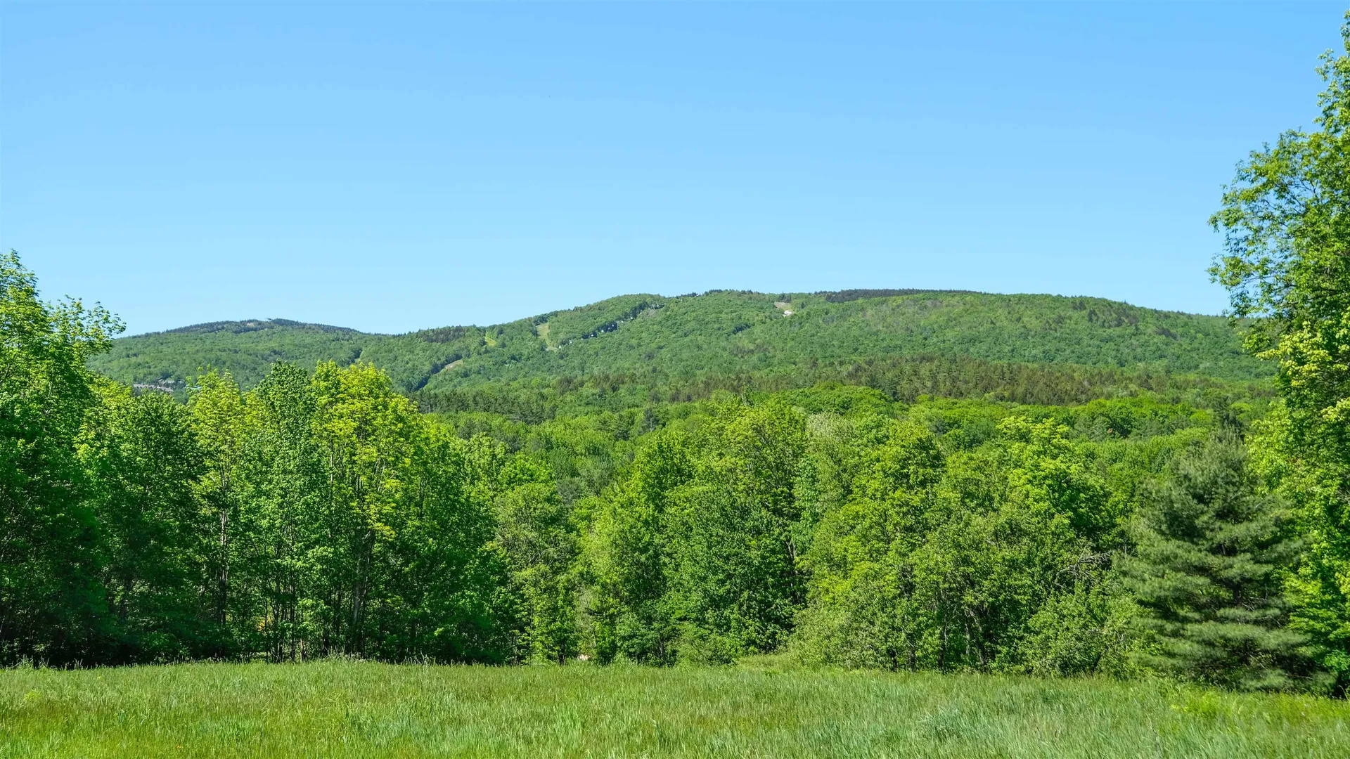 Lot 8 Rod & Gun Club Road Ludlow VT 05149