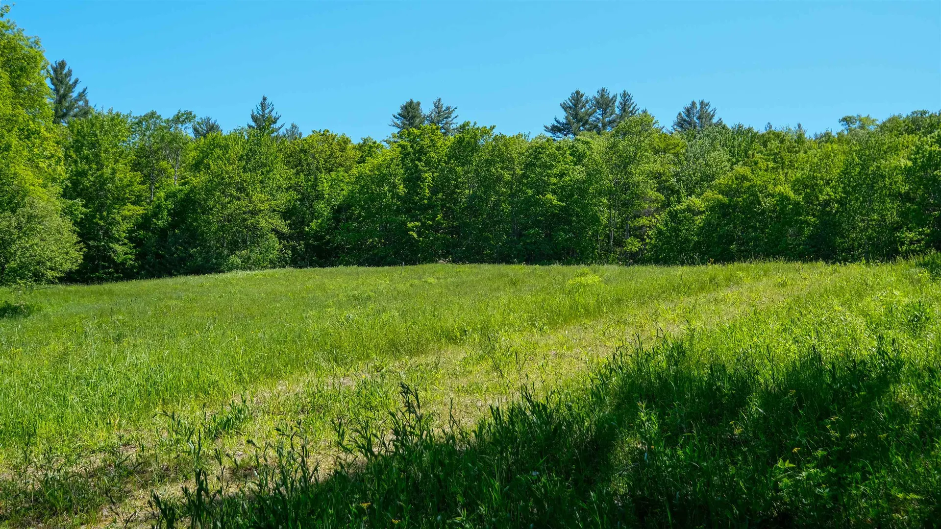 Lot 8 Rod & Gun Club Road Ludlow VT 05149