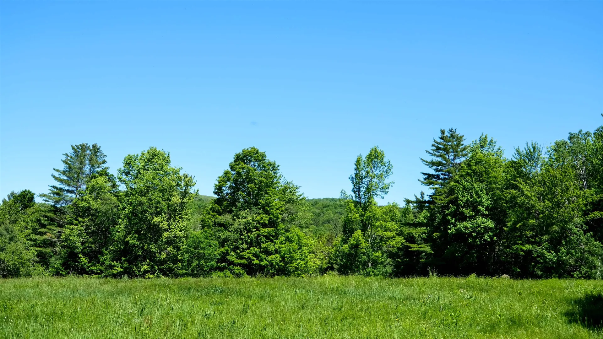 Lot 8 Rod & Gun Club Road Ludlow VT 05149
