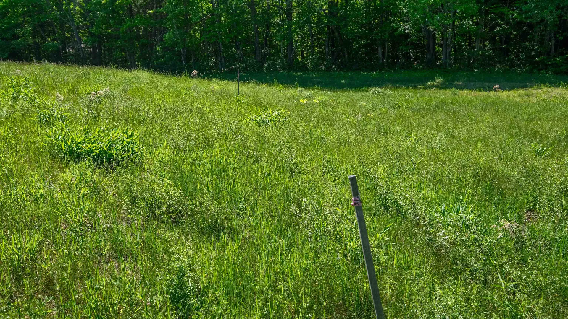 Lot 8 Rod & Gun Club Road Ludlow VT 05149