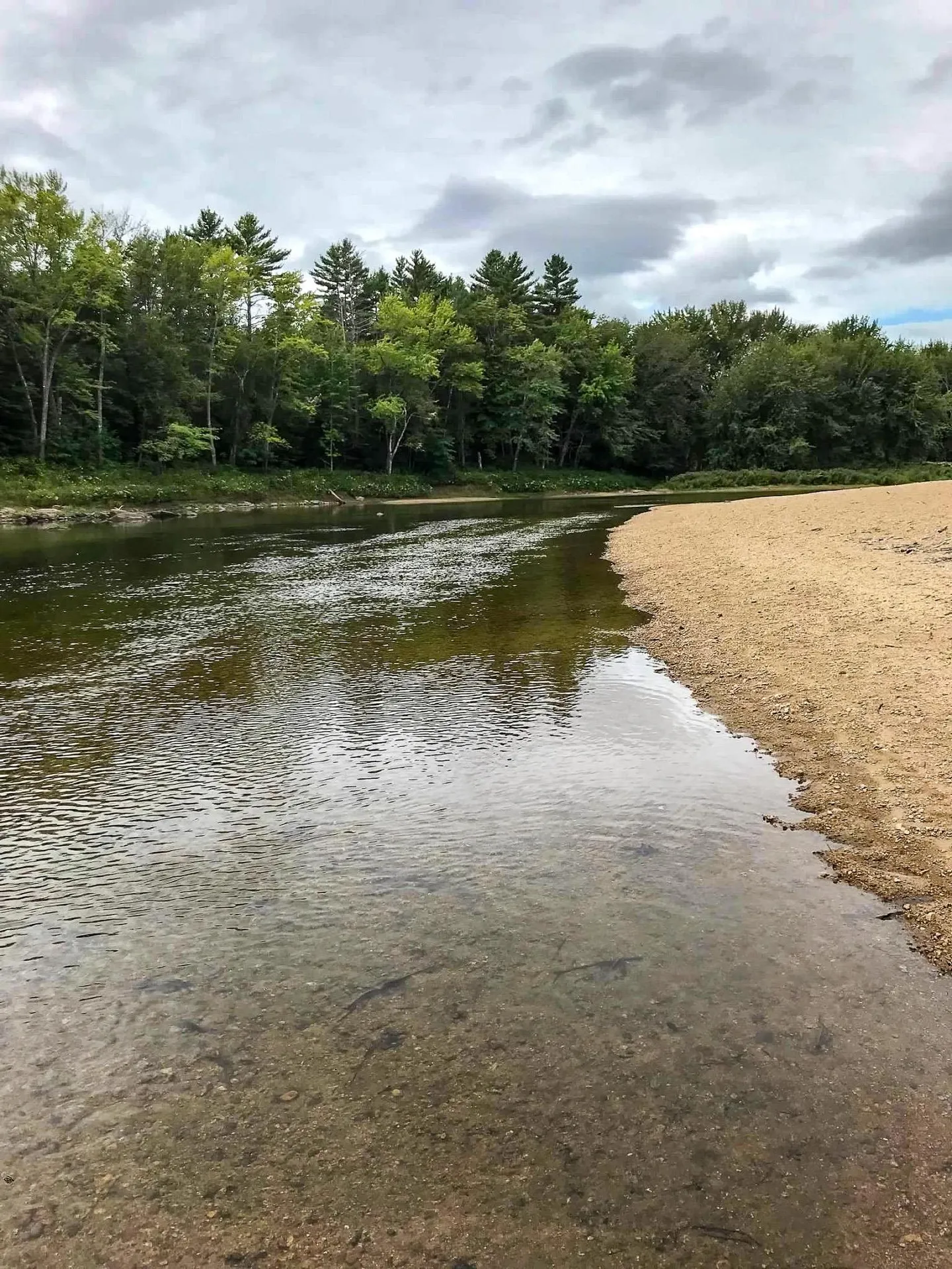 39 Timber Shore Drive Conway NH 03813
