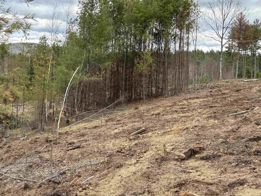 550 Route 16 Highway Ossipee NH 03864