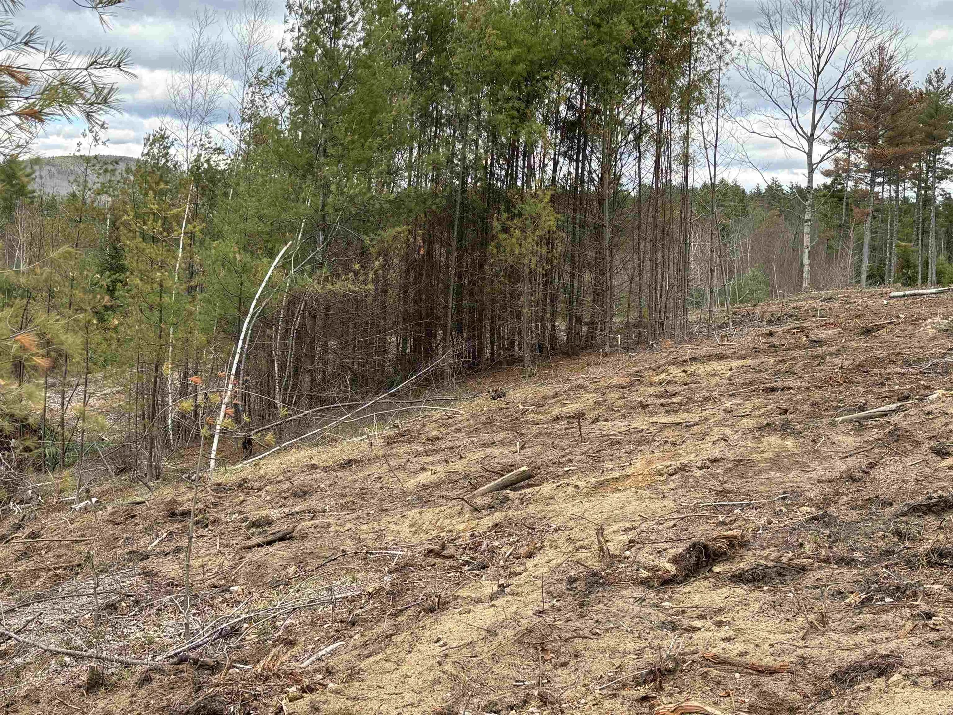 550 Route 16 Highway Ossipee NH 03864