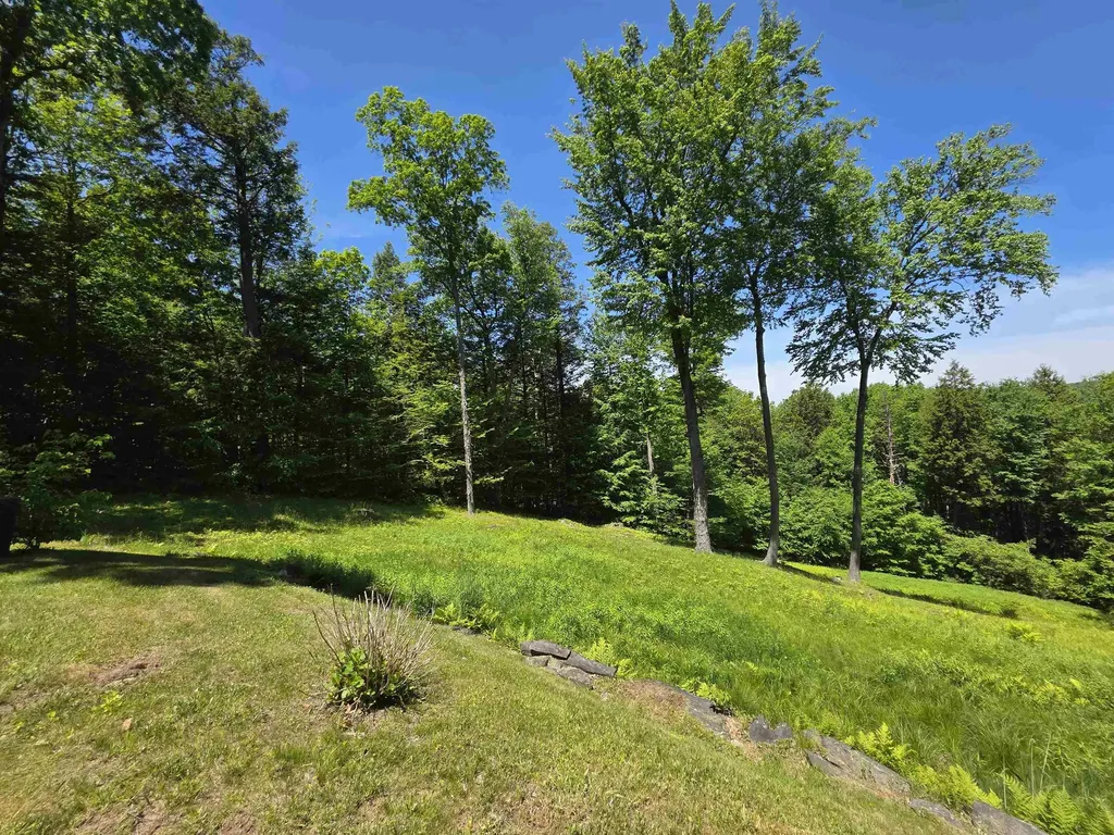 136 School Marm Lane Townshend VT 05353