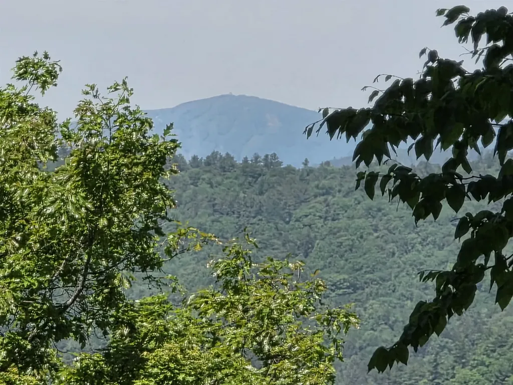 136 School Marm Lane Townshend VT 05353