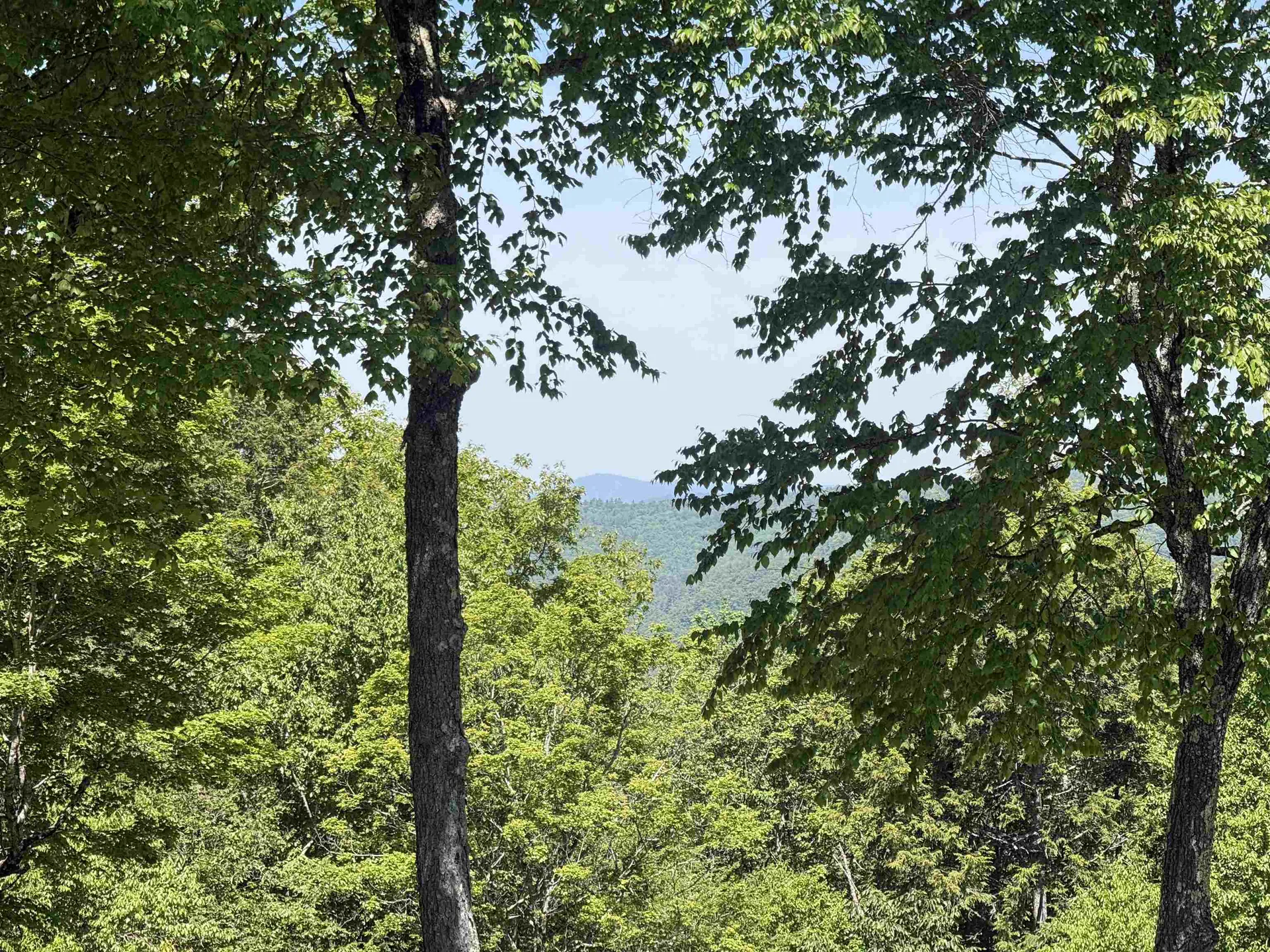 136 School Marm Lane Townshend VT 05353