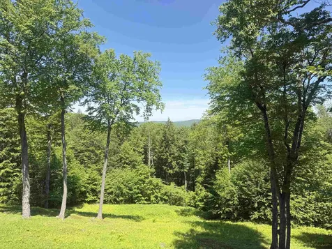 136 School Marm Lane Townshend VT 05353