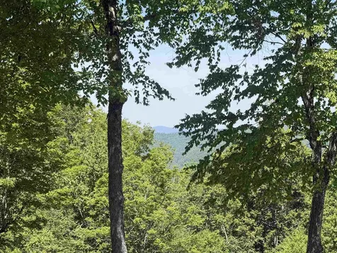 136 School Marm Lane Townshend VT 05353