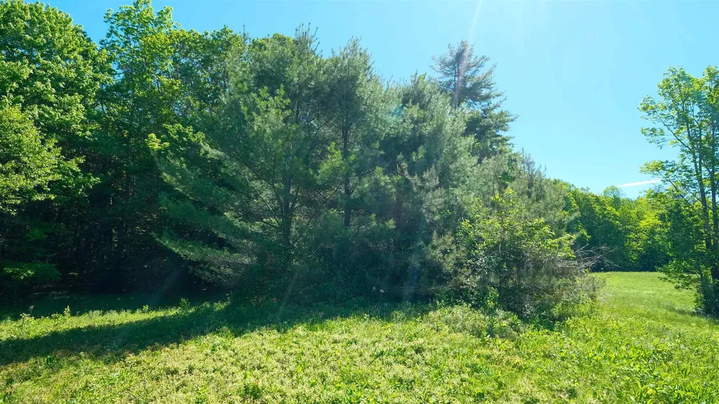 Lot 9 Rod & Gun Club Road Ludlow VT 05149