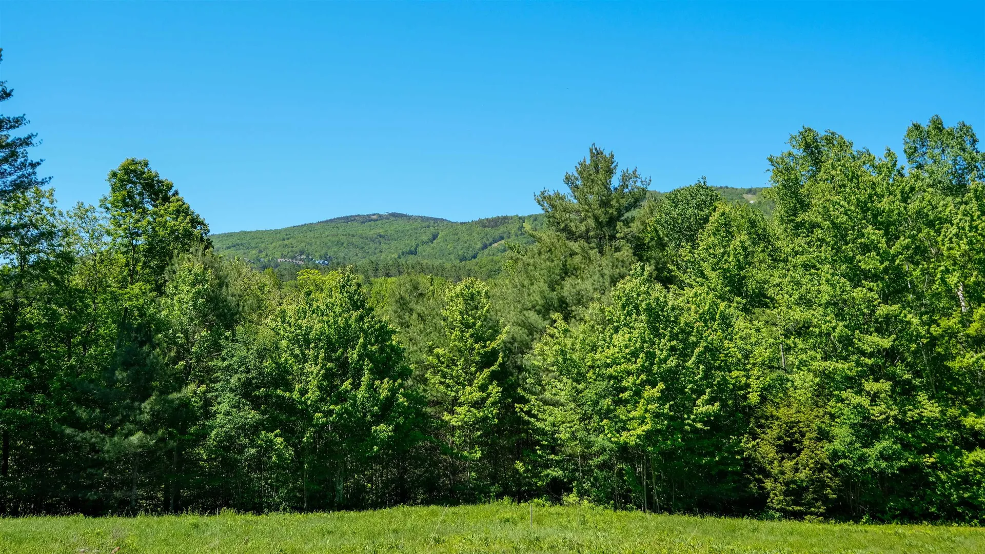 Lot 9 Rod & Gun Club Road Ludlow VT 05149