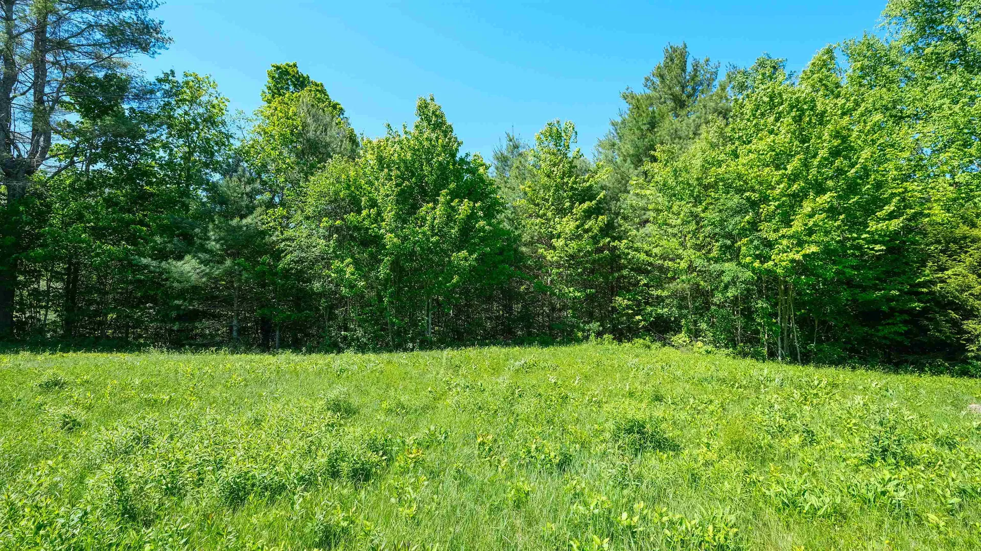 Lot 9 Rod & Gun Club Road Ludlow VT 05149