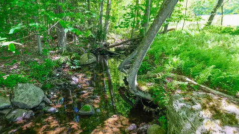 Lot 9 Rod & Gun Club Road Ludlow VT 05149