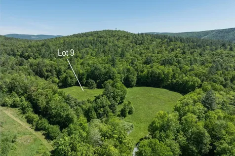 00 Rod & Gun Club Road Ludlow VT 05149