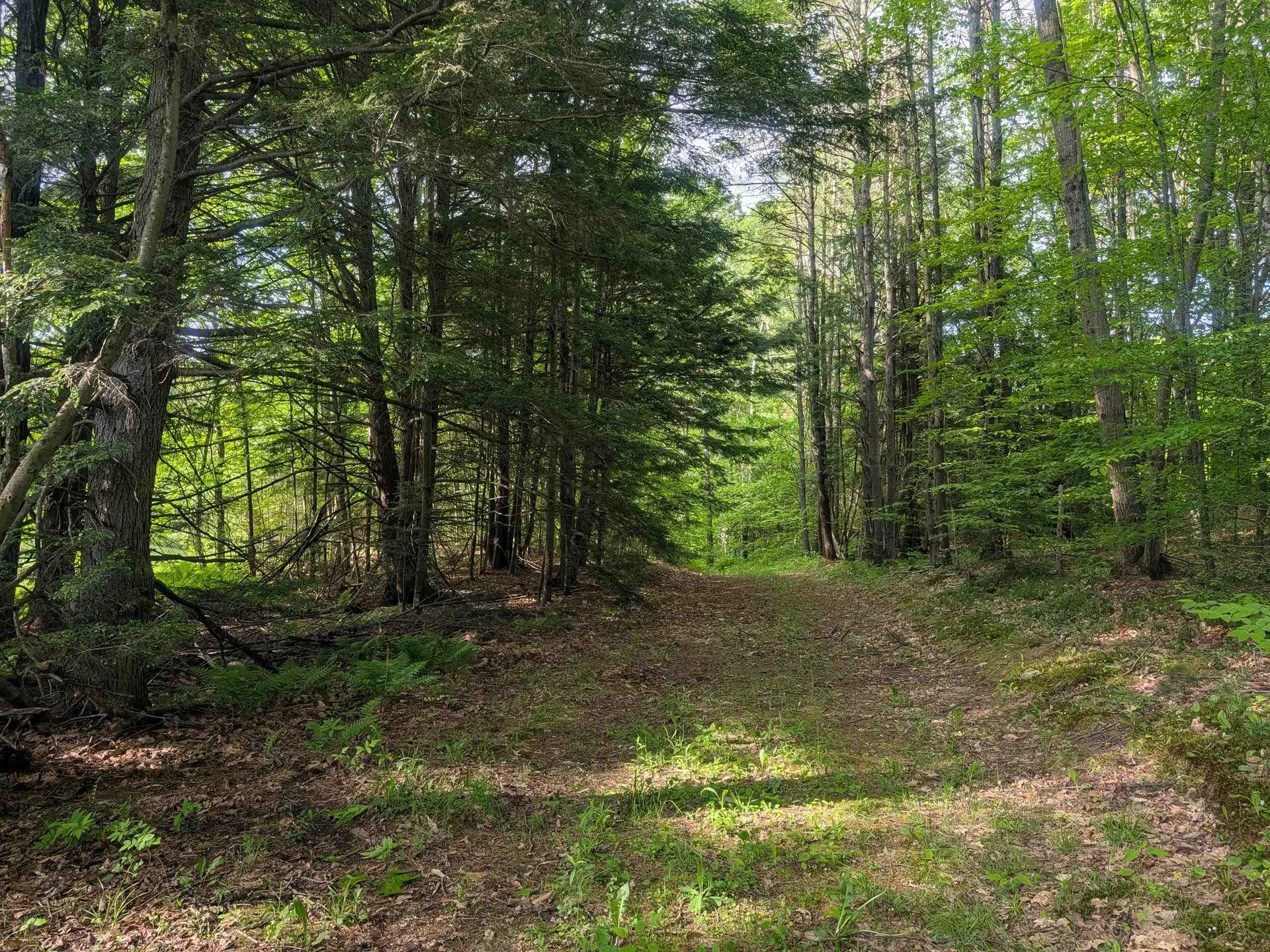 198 Quechee Road Hartland VT 05048