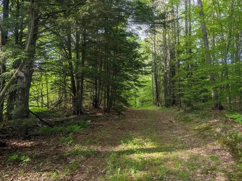 198 Quechee Road Hartland VT 05048