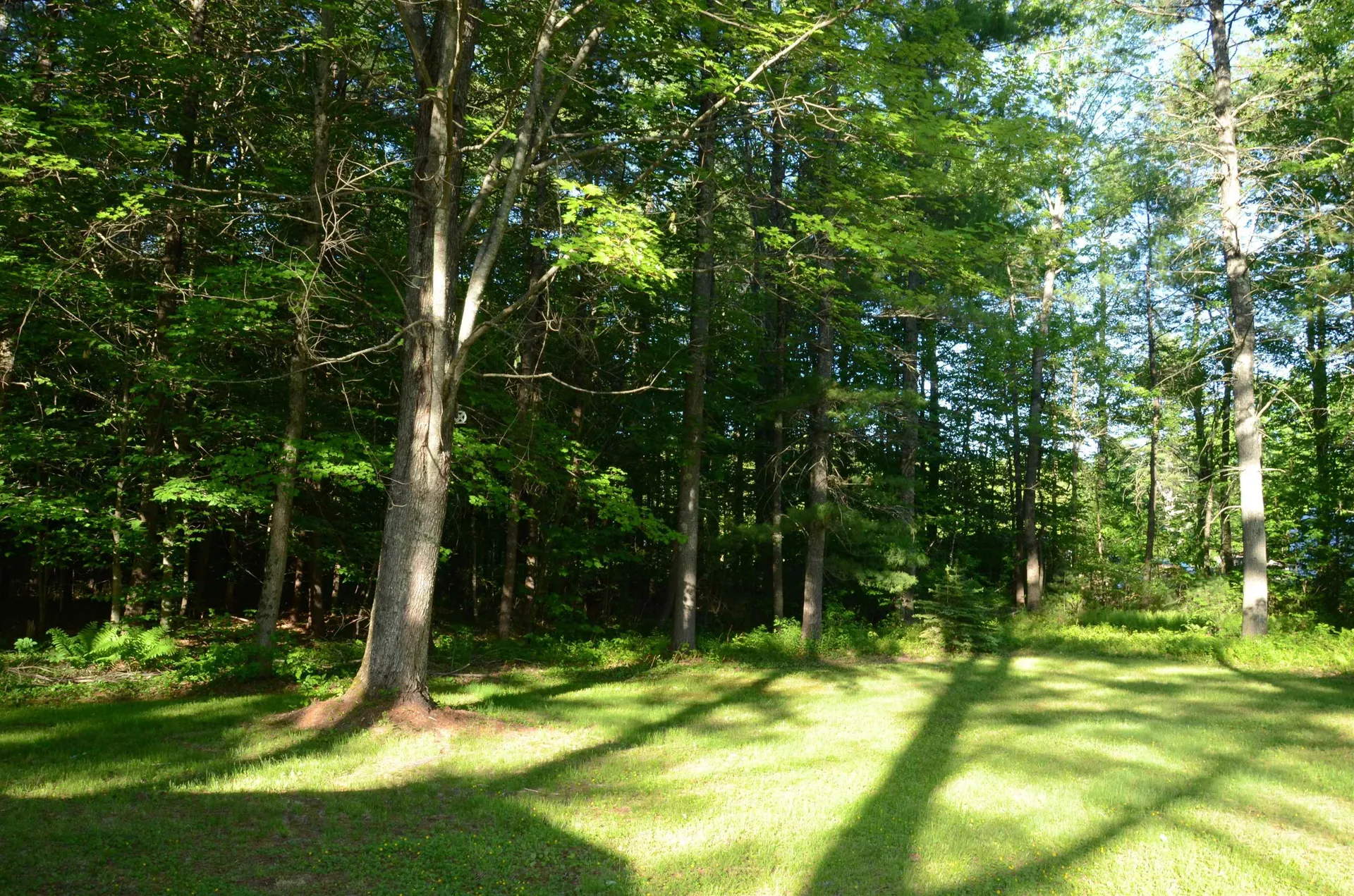 2070 Route 16 Ossipee NH 03890