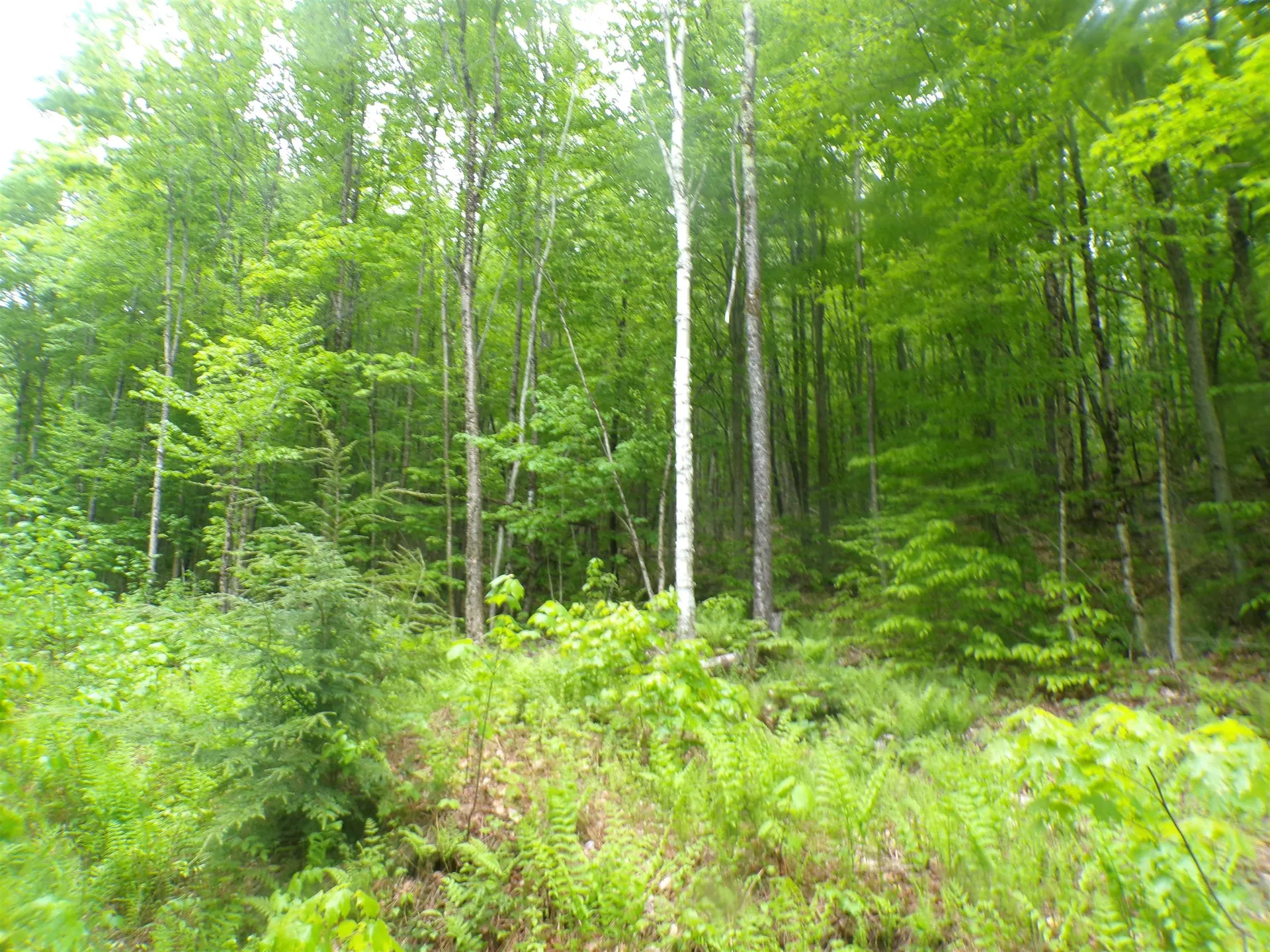 0 Foliage Lane Westmore VT 05822