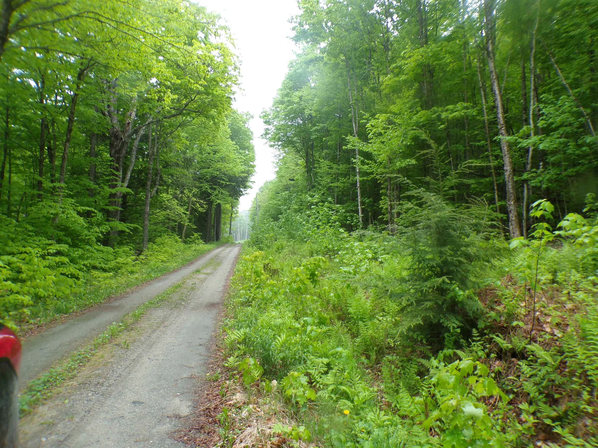 0 Foliage Lane Westmore VT 05822