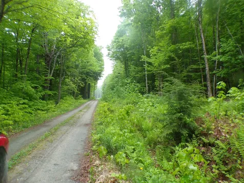 0 Foliage Lane Westmore VT 05822