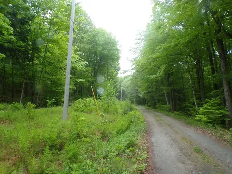 0 Foliage Lane Westmore VT 05822