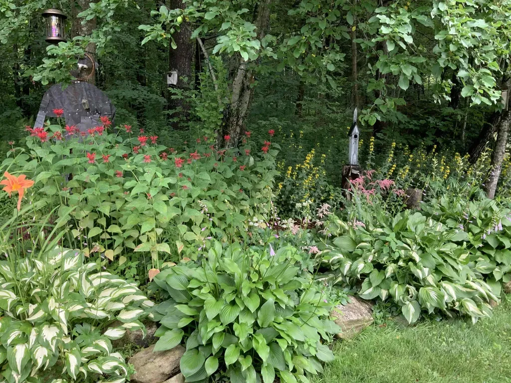 489 Tarbellville Road Mount Holly VT 05730