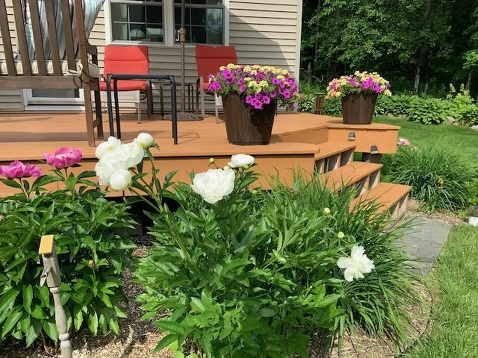489 Tarbellville Road Mount Holly VT 05730
