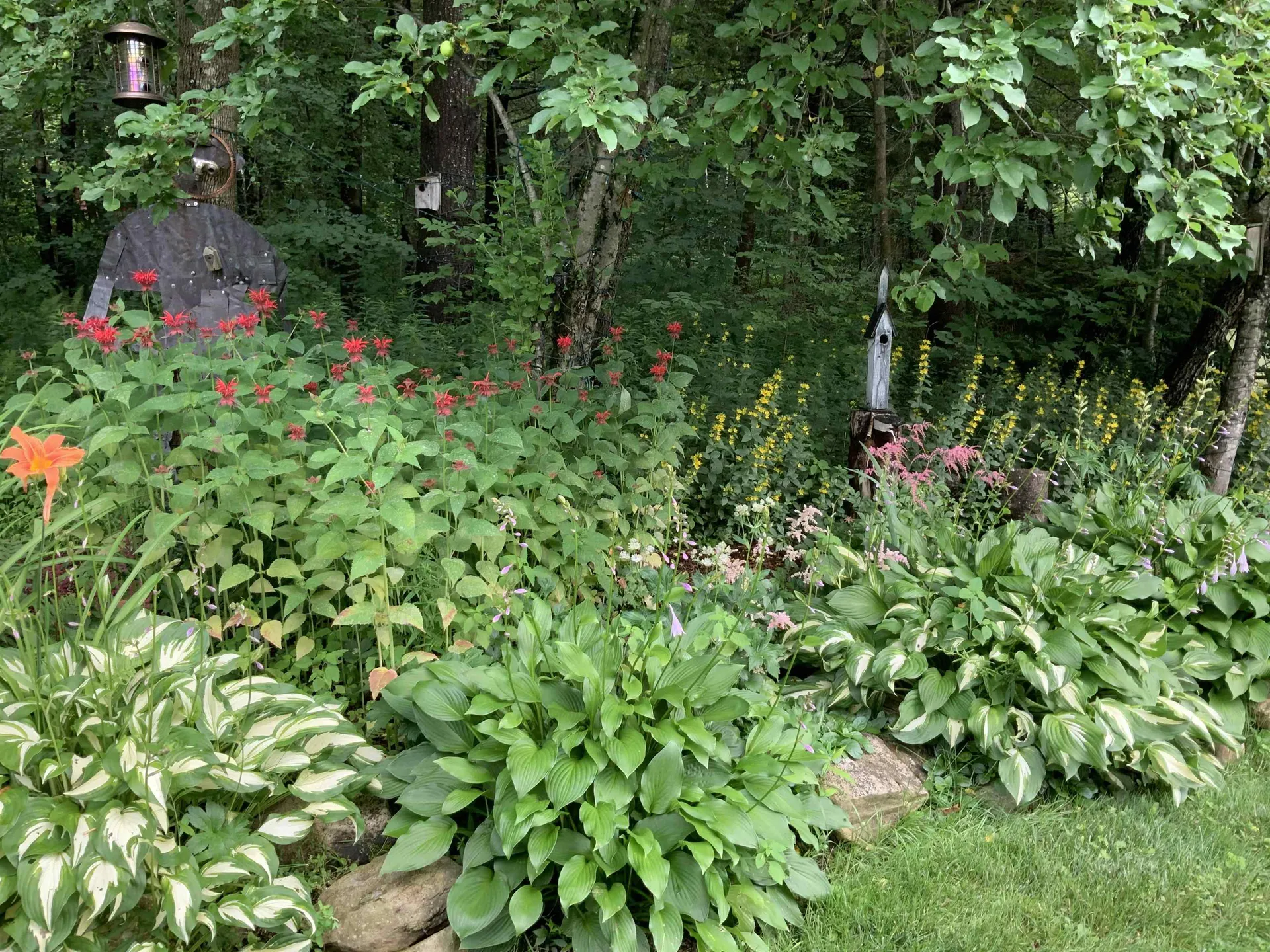 489 Tarbellville Road Mount Holly VT 05730