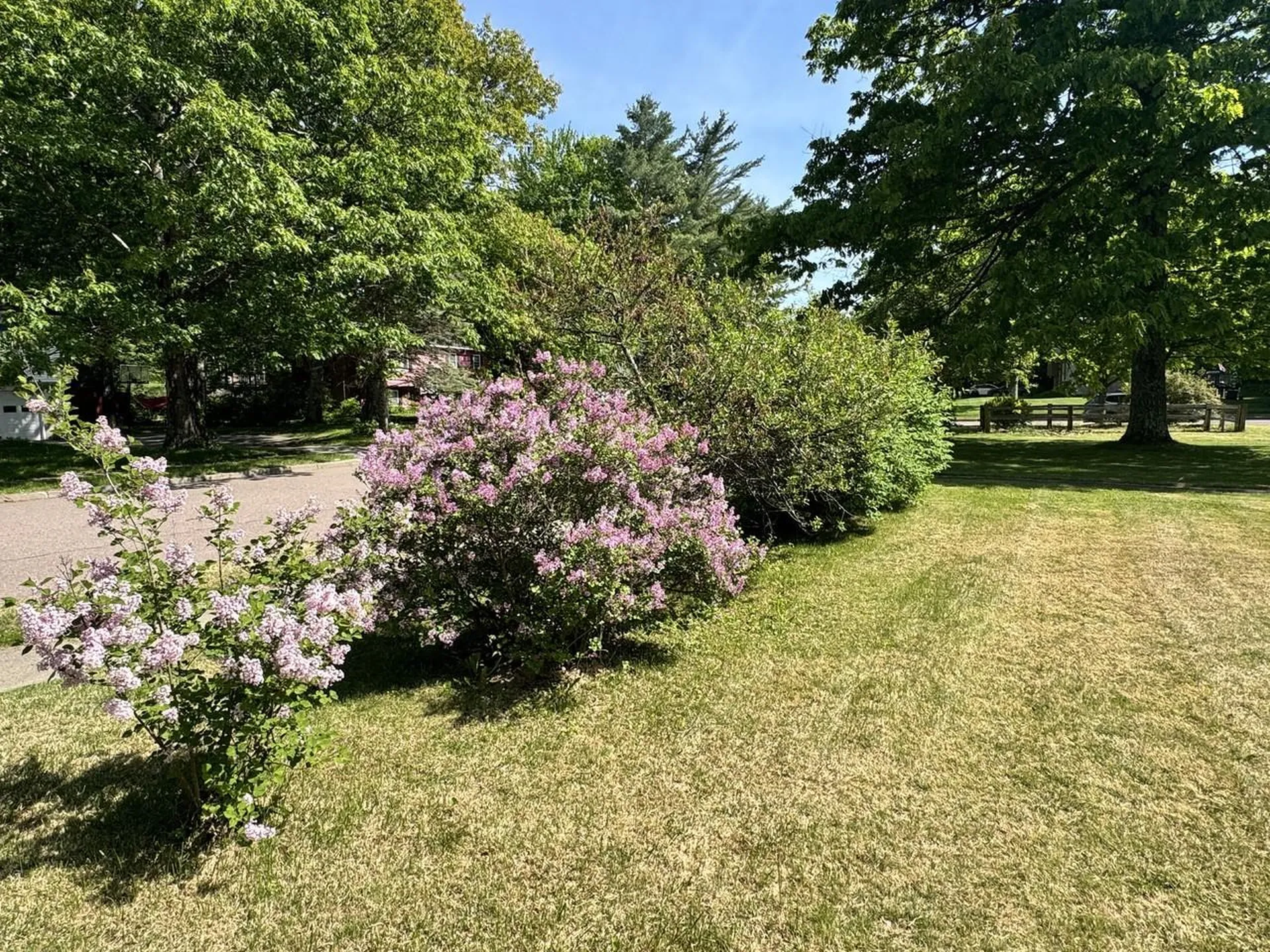 18 Margaret Street Essex VT 05452