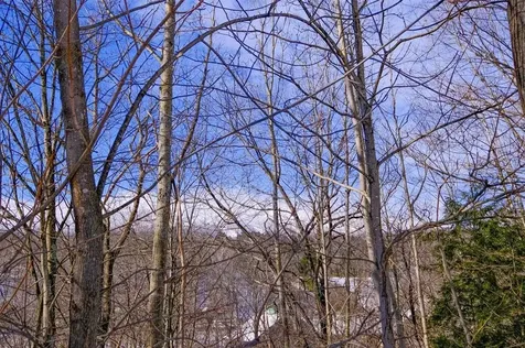 25 Prospect Street Ludlow VT 05149