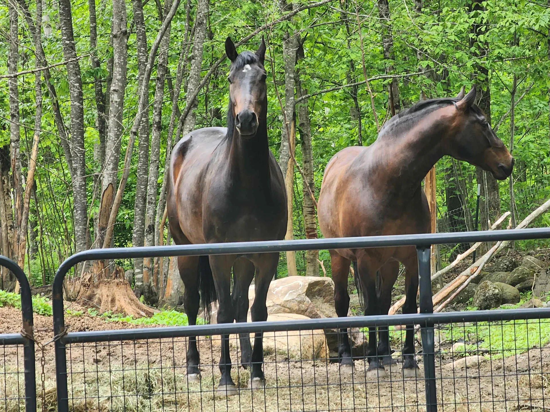 371 Baker Road Henniker NH 03242