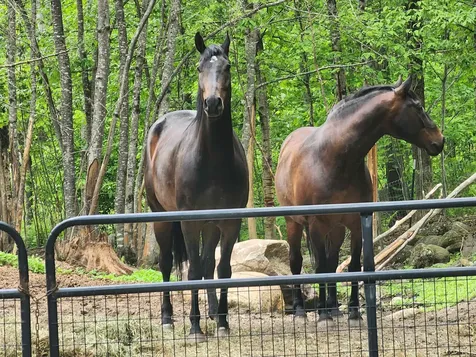 371 Baker Road Henniker NH 03242