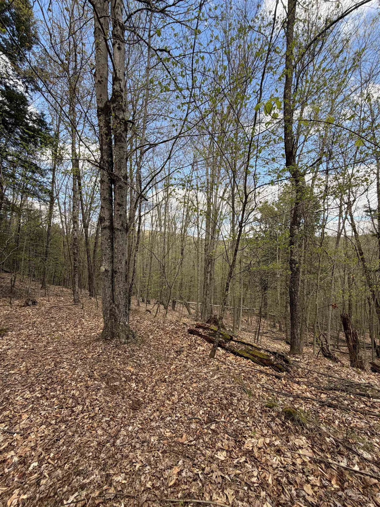 00 Dothan Road Hartford VT 05047