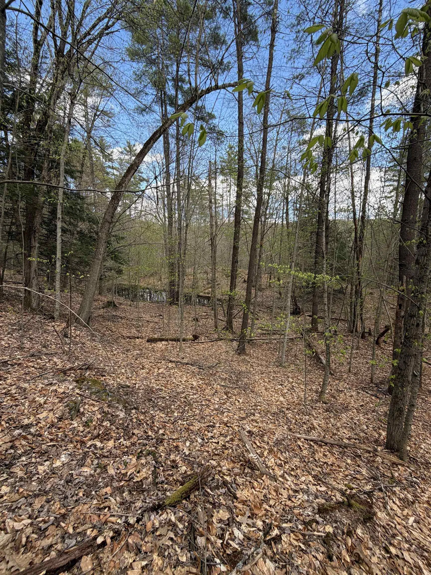 00 Dothan Road Hartford VT 05047