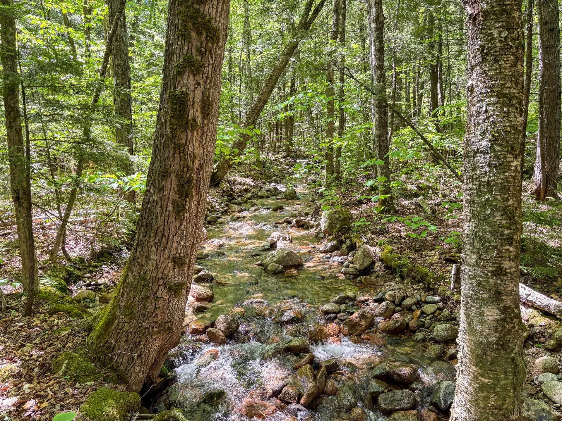 00 Rolling Ridge Road Bartlett NH 03812