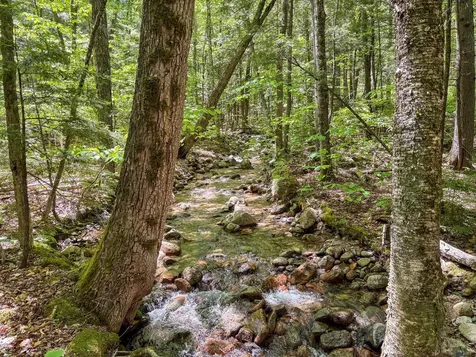 00 Rolling Ridge Road Bartlett NH 03812